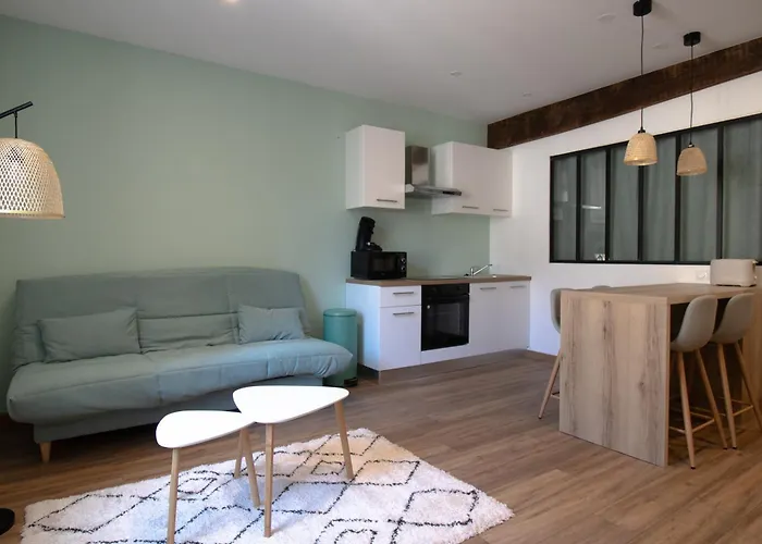 Appartement Hyper-centre *